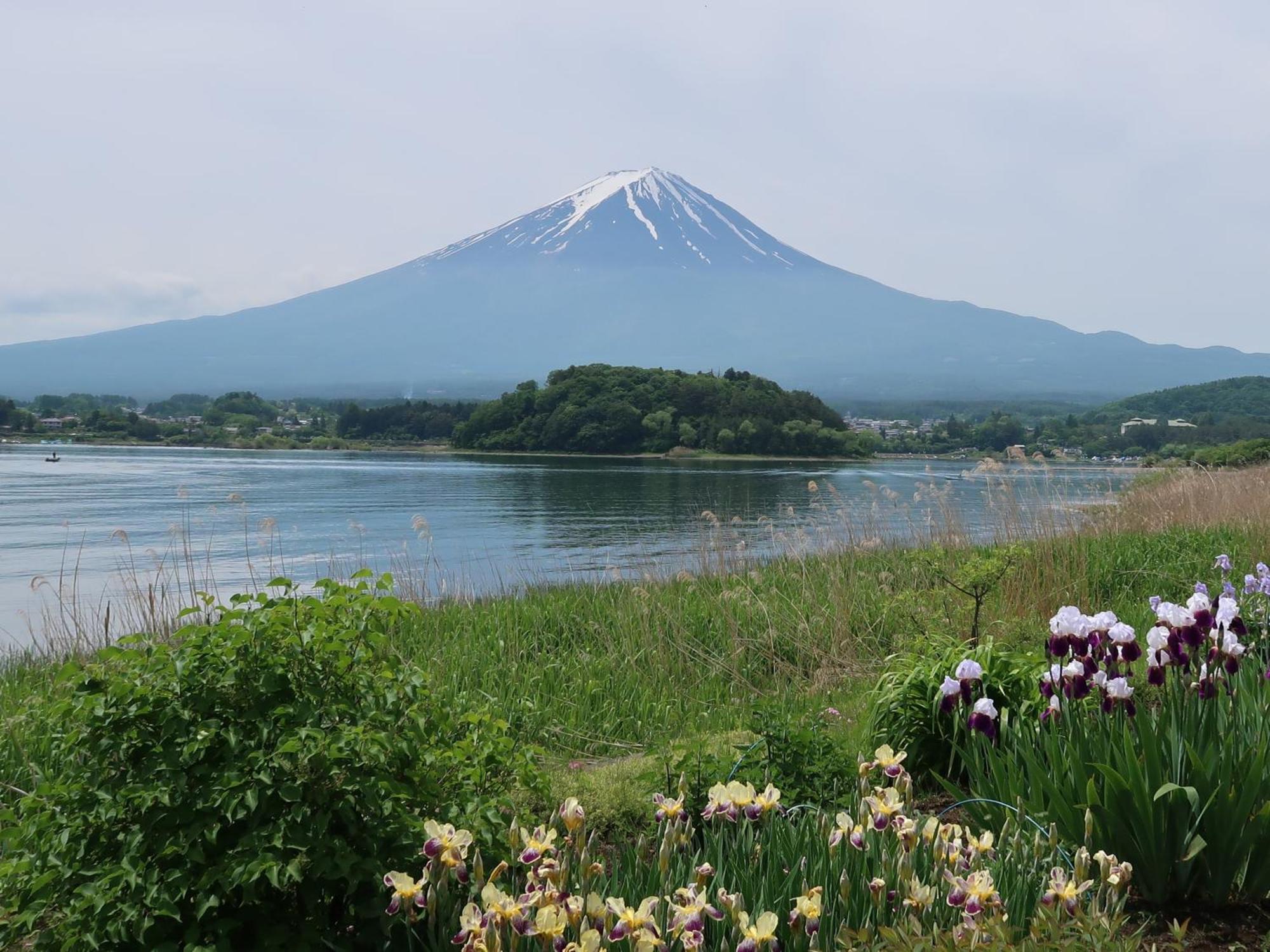 후지카와구치코 Kuranoyado Matsuya 빌라 외부 사진